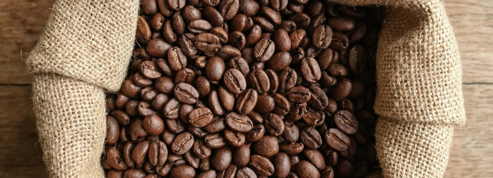 Café de nuestra región sin título 5