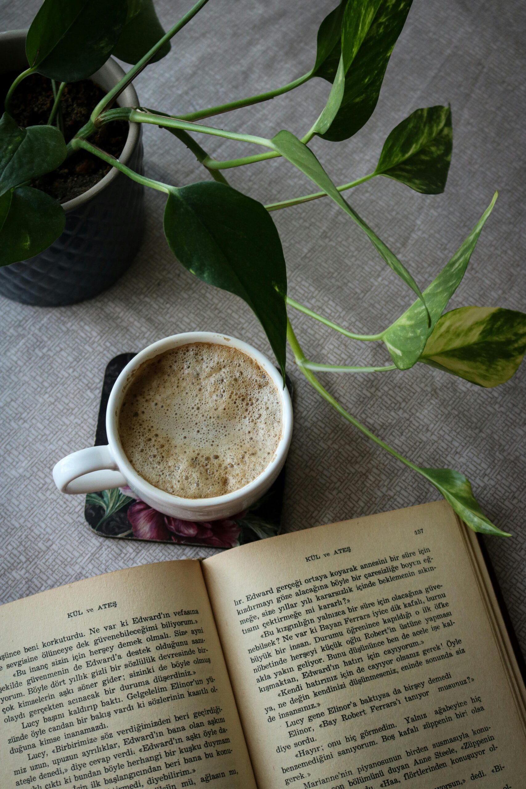 Blog pexels asumaani 9158557