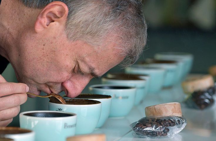 café geisha, el exótico y carísimo lujo panameño